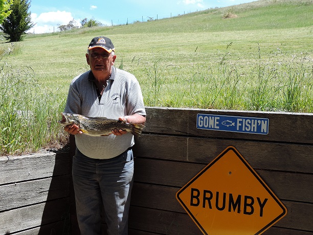 Bruce & Fish