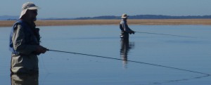 Saltwater Fly at Inverloch