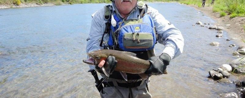 Harry's Rainbow in Judges Pool